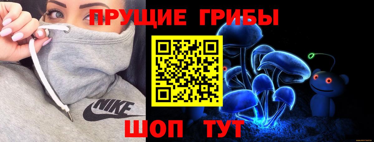 Псилоцибиновые грибы Psilocybine cubensis Луга